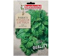 Bavicchi ZBS02 busta semi Basilico Foglia di Lattuga