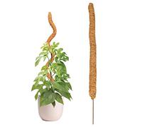 Bavokon 80 cm Moss per Piante Monstera e Piante rampicanti,Cocco Bastoncini per Piante, Totem in Fibra di Cocco,Bastone Muschiato Cocco per sostenere Piante da Appartamento per Crescere Verso l'Alto