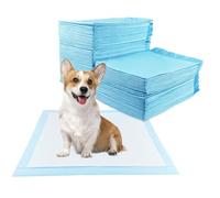 Baxcdyswe 100 Pezzi Traversine Cani 60 × 60 cm, Tappetino Cane Traversina Tappetino Pipi Assorbenti Igienico, Tappetini Igienici per Cani, 5 Strati Prova Perdite Superficie Asciugatura Rapida