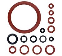 Baxcdyswe 15 Pezzi Guarnizione O-Ring Kit di Manutenzione, Compatibile con Philips Saeco Spidem Gaggia per Valvola di Supporto, Valvola Del Vapore, Gruppo di Erogazione, Beccuccio di Uscita