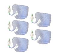 Baxnore Mesh netta di pesca a filo di primavera con perle luminose notturne a esca in acciaio inossidabile gabbia durevole attrezzatura a rete in nylon