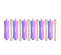 Baxnore Set di bigodini professionali 8 misure Aste per onde permanenti con elastici addensanti Bigodini antiscivolo per uso domestico in salone Materiale ABS 6 pezzi 12 opzioni (SH-9)