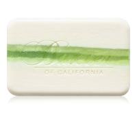 Baxter of California Lime & Pomegranate docciaschiuma in crema 198 g