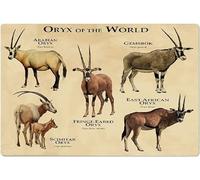 BAYABU Oryx of the World Targa in metallo divertente antilope conoscenza poster vintage aula istruzione decorazione retrò ufficio zoo uomo grotta casa decorazione da parete placca 30,5 x 40,6 cm