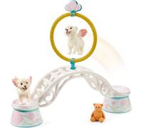 Bayala 42524 con Ali Bambino Leone Formazione Giocattolo Playset Schleich 73403