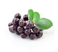 Bayas de aronia biologica - semi decorativi espaldera resistenti all'aria aperta Semi biologico 20pcs