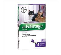 ELANCO ITALIA SpA ADVANTAGE*4PIP 0,8ML GATTI SUP4K