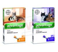 BAYER ADVANTAGE ANTIPULCI PER GATTI E CONIGLI PICCOLI INFERIORI A 4 KG.