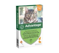VANTAGGIO 40 - 4 pipette antiparassitarie - Per gatti e conigli di peso inferiore a 4 kg