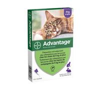 VANTAGGIO 80 - 4 pipette antiparassitarie - Per gatti e conigli da 4 kg e oltre