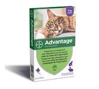 VANTAGGIO 80 - 6 pipette antiparassitarie - Per gatti e conigli da 4 kg e oltre