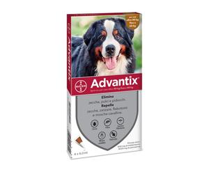 Bayer Advantix Spot-On Antipulci Antipidocchi Cani 40-60 kg, 4 Pipette x 6ml