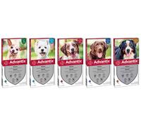 Bayer ANTIPARASSITARIO ADVANTIX (4 pipette) per cani 10÷25 kg.