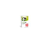 Bayer Italia BAYER ITALIA Drontal Cuccioli Sospensione 50 Ml