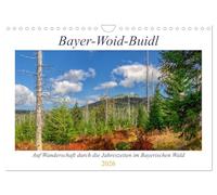 Bayer-Woid-Buidl (Wandkalender 2026 DIN A4 quer), CALVENDO Monatskalender: Auf Wanderschaft durch die Jahreszeiten im Bayerischen Wald