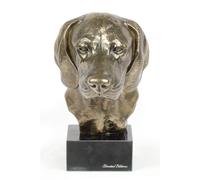 Bayerischer Gebirgsschweisshund Testa Su Pietra Art-Dog