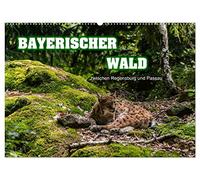 Bayerischer Wald (Wandkalender 2026 DIN A2 quer), CALVENDO Monatskalender: zwischen Regensburg und Passau