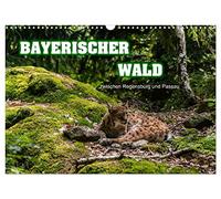 Bayerischer Wald (Wandkalender 2026 DIN A3 quer), CALVENDO Monatskalender: zwischen Regensburg und Passau