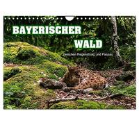 Bayerischer Wald (Wandkalender 2026 DIN A4 quer), CALVENDO Monatskalender: zwischen Regensburg und Passau