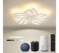 BAYHT Lampada da soffitto con telecomando, lampada da soggiorno dimmerabile con Matter compatibile con HomeKit, Alexa, Google e IFTTT, 65W Moderna plafoniera LED per camera da letto soggiorno Ø63cm