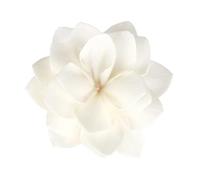 BAYNOPURIN Bastoncini Diffusori 10 Bastoncini di incenso aromatico for diffusori fragranza Fatti a Mano, Fiori secchi, della Durata 5 cm, for aromaterapia e casa(Color-01)