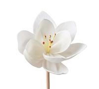 BAYNOPURIN Bastoncini Diffusori 10 Bastoncini di incenso aromatico for diffusori fragranza Fatti a Mano, Fiori secchi, della Durata 5 cm, for aromaterapia e casa(Color-03)