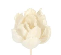 BAYNOPURIN Bastoncini Diffusori 10 Bastoncini di incenso aromatico for diffusori fragranza Fatti a Mano, Fiori secchi, della Durata 5 cm, for aromaterapia e casa(Color-06)