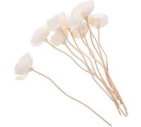 BAYNOPURIN Bastoncini Diffusori 10 Bastoncini diffusori in Rattan for aromaterapia, Oli Essenziali, profumati, for la casa, Camera da Letto, Il Soggiorno, i Fiori secchi