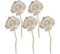 BAYNOPURIN Bastoncini Diffusori 10 Pezzi di Fiori diffusori, Bastoncini diffusore in Rattan, fragranze, aromi, Decorazioni for la casa