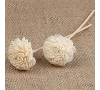BAYNOPURIN Bastoncini Diffusori 6 Bastoncini diffusori di Fiori secchi, for aromaterapia con Oli Essenziali, Decorazioni for la casa, fragranze