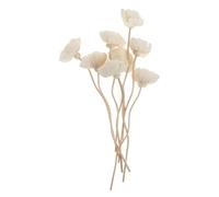 BAYNOPURIN Bastoncini Diffusori Diffusore di Oli Essenziali con Fiori secchi, Aroma Senza Fuoco, Bastoncini for aromaterapia, for diffusore, Olio Rattan