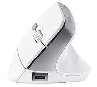 Trust Bayo+ Wireless Ergonomic Mouse Trasparente