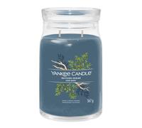 Bayside Cedar, candela in giara grande Yankee Candle