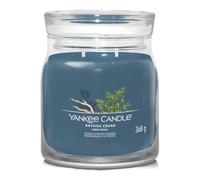Bayside Cedar, candela in giara media Yankee Candle