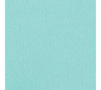 Bazzill 25 fogli Mono Aruba, 12 x 12