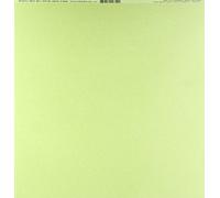 Bazzill Basics Carta Fogli 25 Scrapbooking Canvas Texture, Parrocchetto