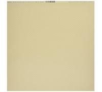 Bazzill Cardstock 12"X12"-Sandbox/Dotted Swiss