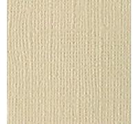 Bazzill Cardstock 12"X12"-Twig/Canvas