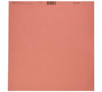 Bazzill Karton 12""""X12""""-Arroyo/Grastuch 25 pro Packung