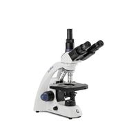 Euromex Microscopio BioBlue, BB.4253, trino, DIN, semiplan, 40x-1000x, 10x/18, NeoLED, 1W