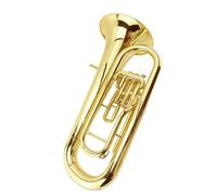 Bb B Flat Triplet Euphonium Band Instrument With Hard Case, Mouthpiece, Cloth And Gloves