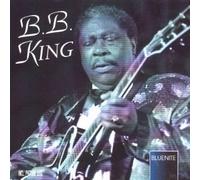 Bb King - Blues You Can Use