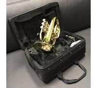 BB Tromba tasche Tromba Bach PT650 Nuovo Modello incl. Valigetta + BOCCHINO
