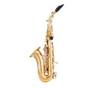 Bb Tune Sassofono Saxophone Ottone Oro Nero Nichelato Collo Curvo B-Flat Sax Saxophone Strumento Musicale (Color : Gold Sax)