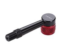 BBB, Testina di Ricambio per Pompa AirPipe BFP-94, Nero (Schwarz), 90°