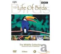 BBC: The Wildlife Collection - Life Of Birds