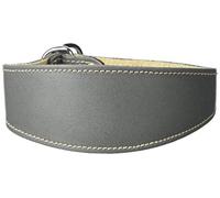 BBD Pet Products Whippet Slip Collare, Taglia Unica, 3/4 x 12 a 14 pollici, Grigio