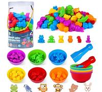 BBLIKE Set educativo Montessori: giocattolo per bambini con ciotola, pinzette e giocattoli matematici per ordinare i colori per bambini dai 2 ai 6 anni