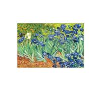 BBOVOBB Fiori di iris di Van Gogh Riproduzioni di dipinti su tela Immagini murali di arte impressionista decorativa per soggiorno 70x100 cm (27,5x39,3 pollici) Senza cornice