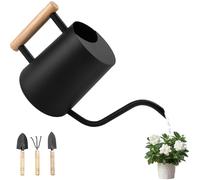 BBWELL Annaffiatoio Piccolo per Piante 1L,Annaffiatoio per Piante da Interno con Beccuccio Lungo e Attrezzi da Giardinaggio,Manico in Legno,Annaffiatoios in Acciaio Inox,Innaffiatoio da Giardino
